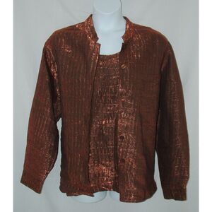 DRAPERS & DAMONS Sparkly Metallic Bronze Plus Sz 2X Church Office 2 pc Shirt Set